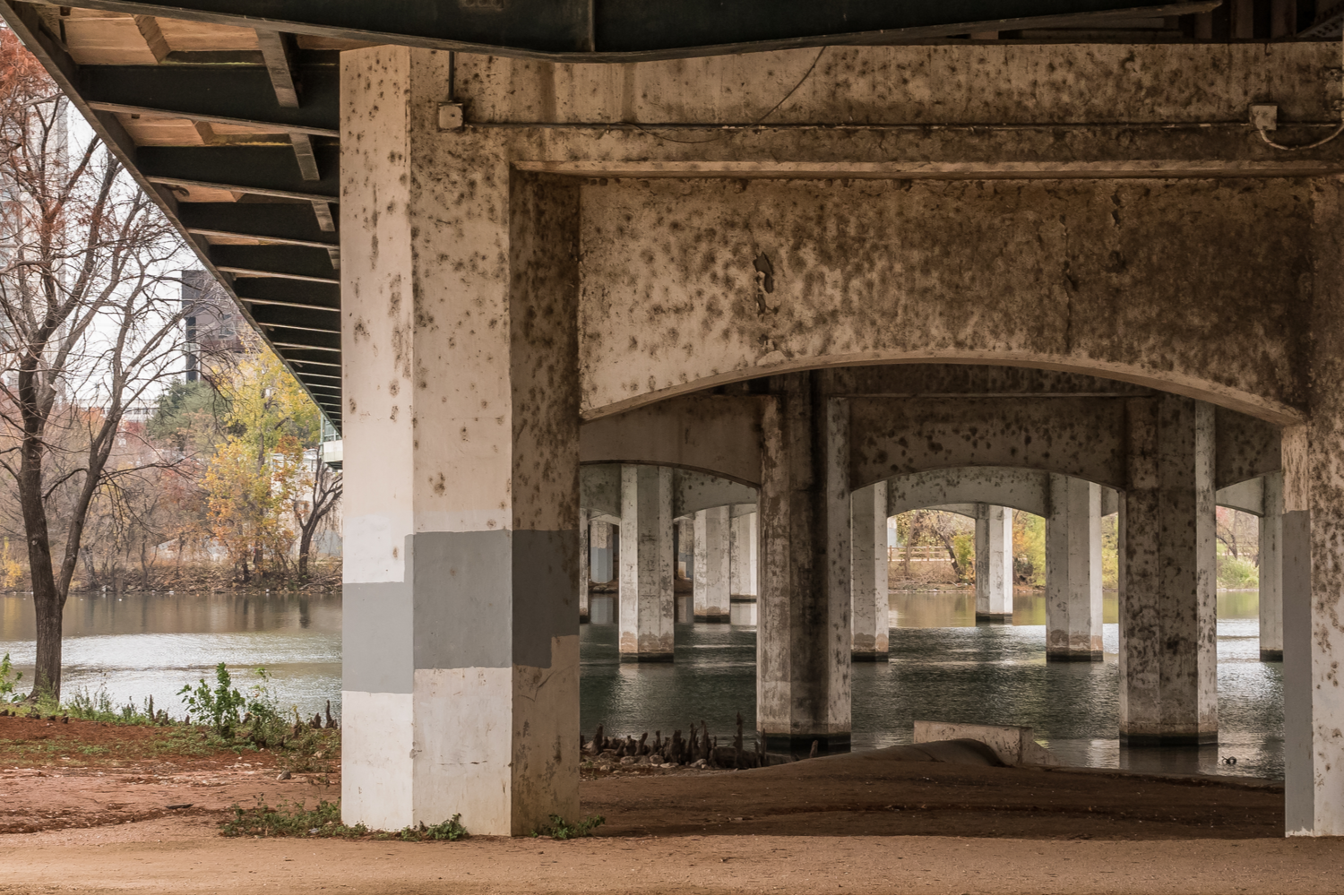 Austin Mold Insurance