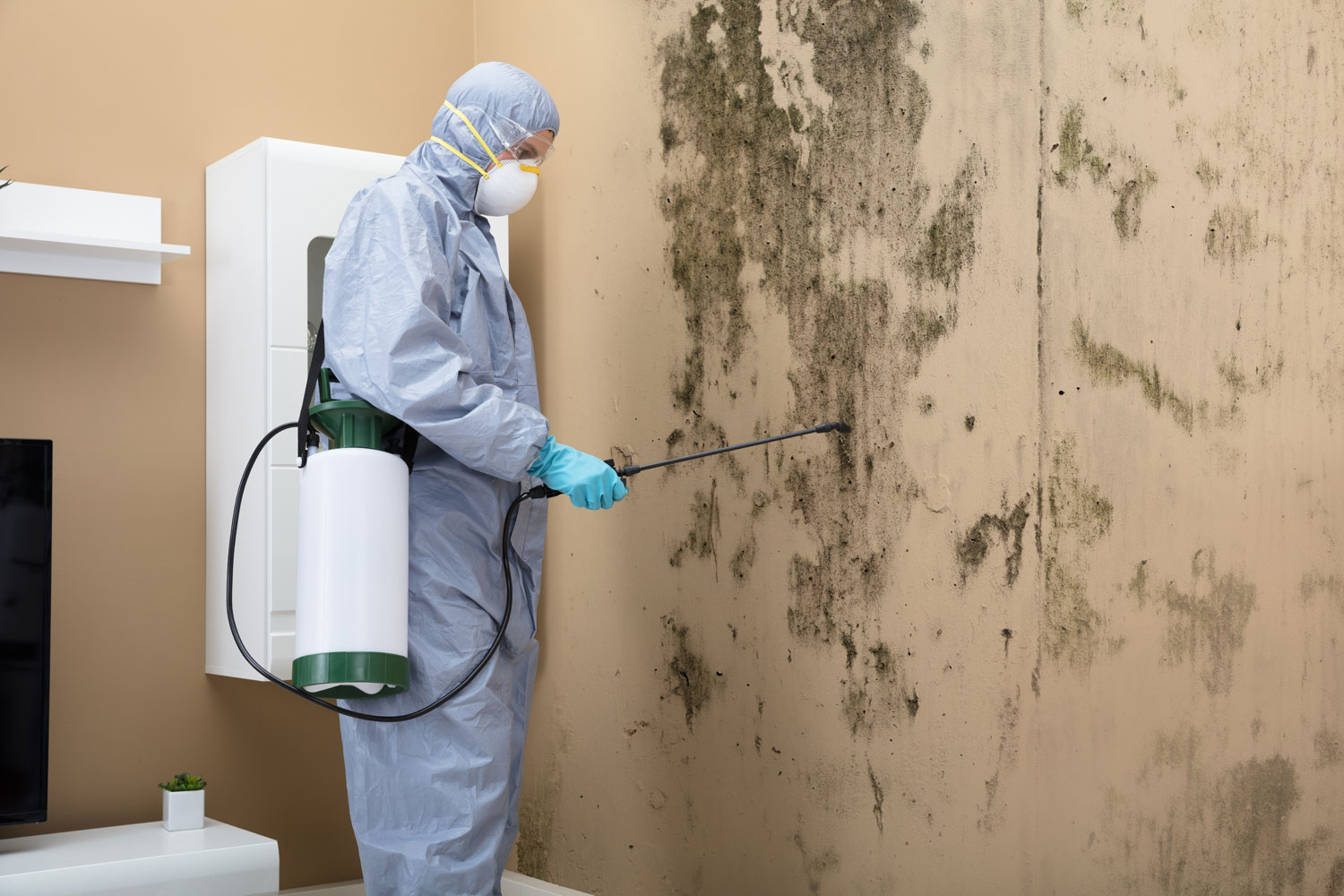 What to Do If You're Sensitive to Mold?