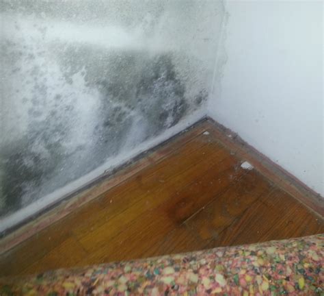 Bedroom Water Damage