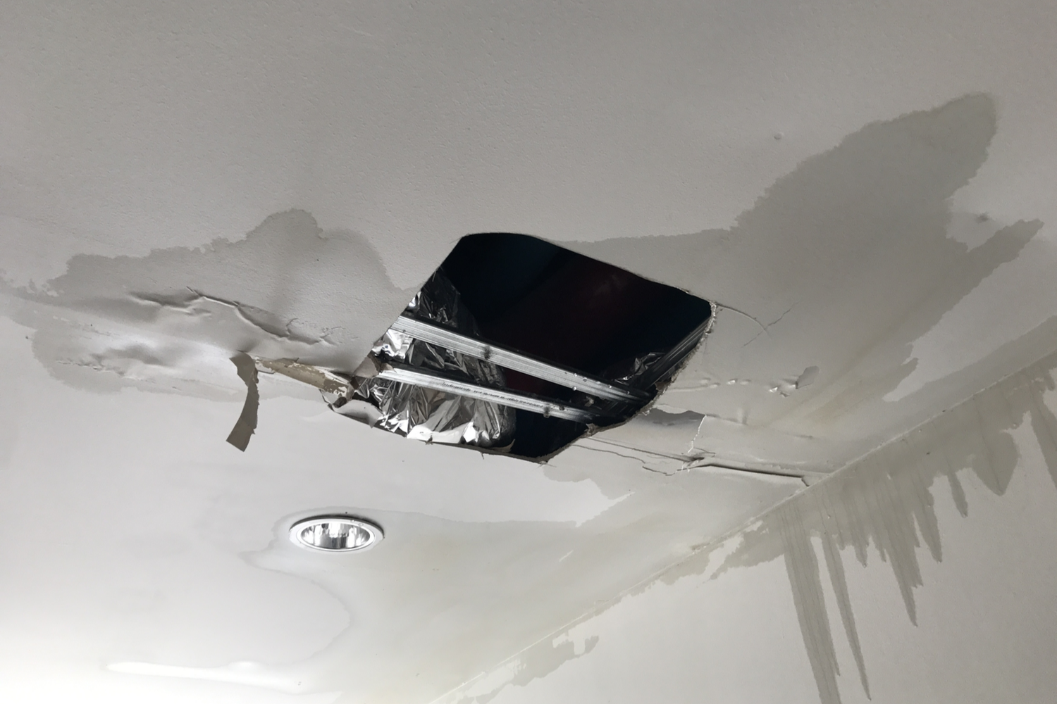 why-is-my-ceiling-leaking-and-how-do-i-repair-it-water-mold-fire