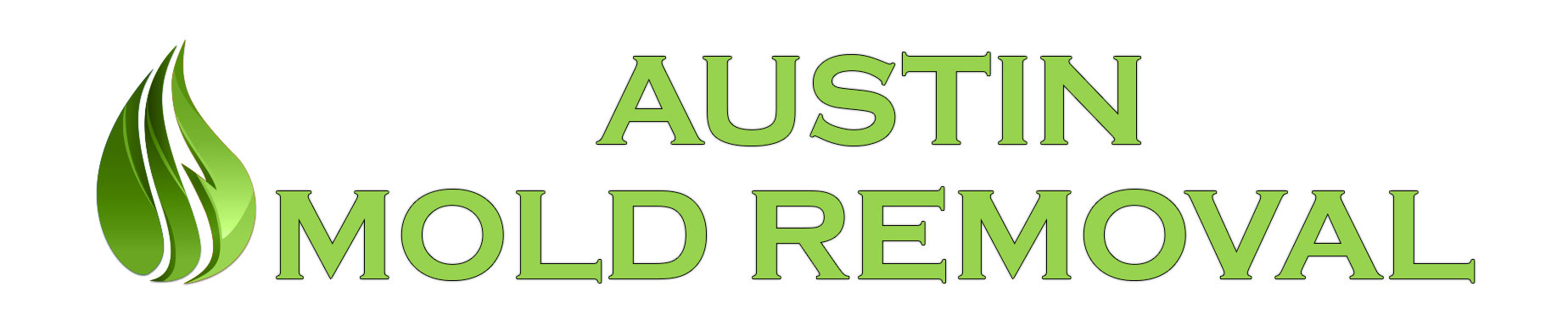 Austin Mold Removal