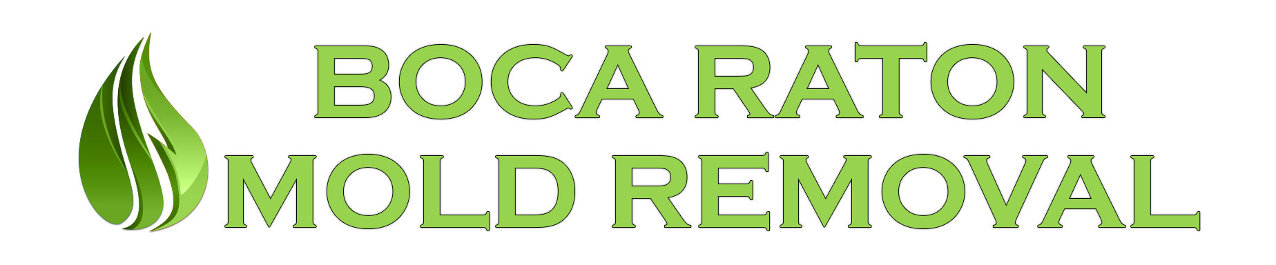 Boca Raton Mold Removal