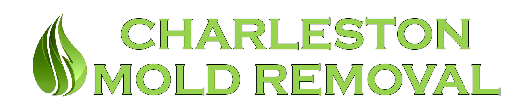 Charleston Mold Removal