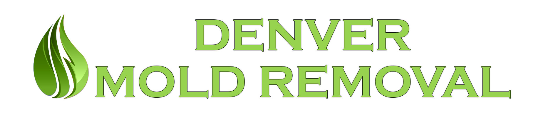 Daytona Beach Mold Removal