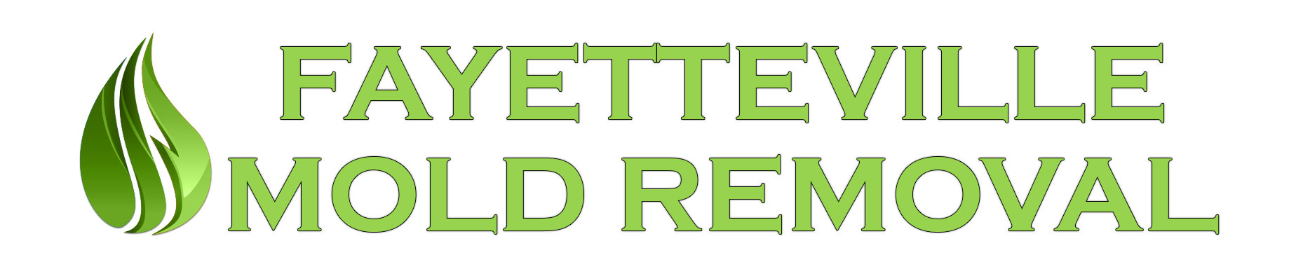 Fayetteville Mold Removal
