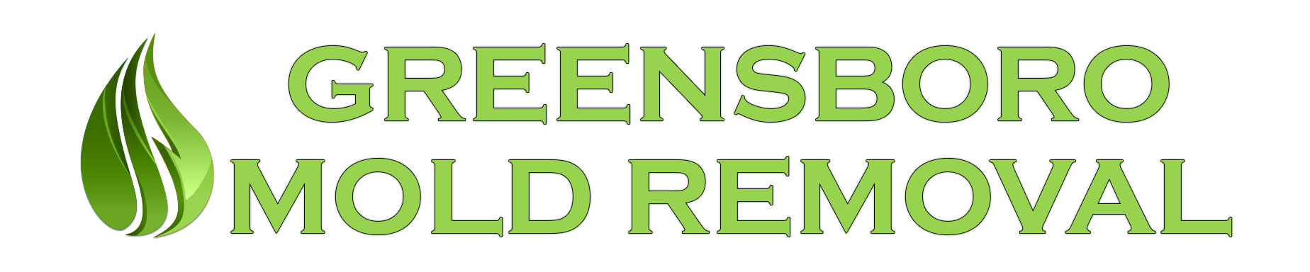 Greensboro Mold Removal