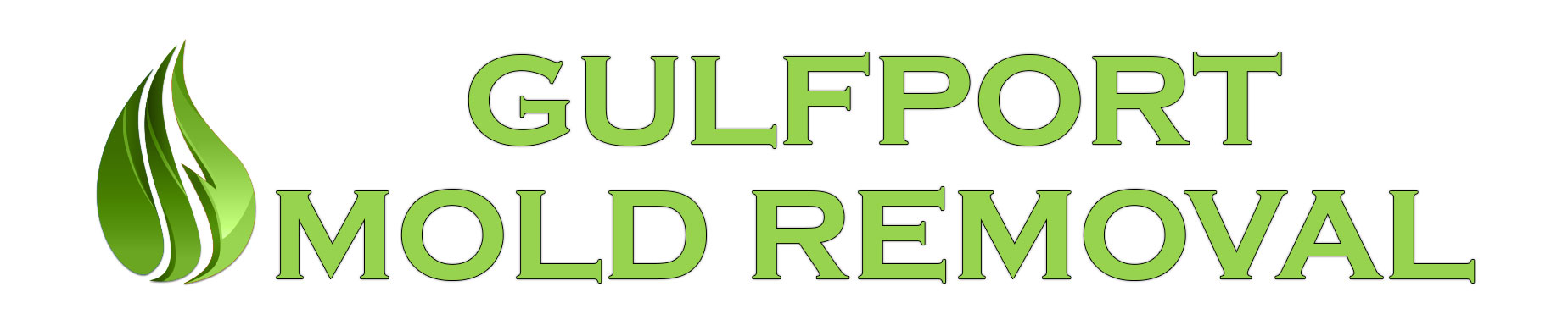 Gulfport Mold Removal