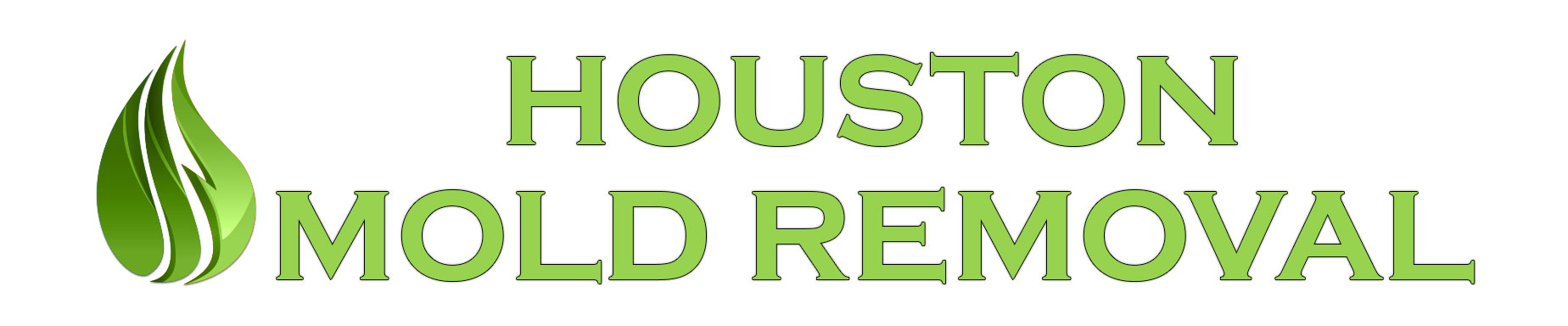 Houston Mold Removal