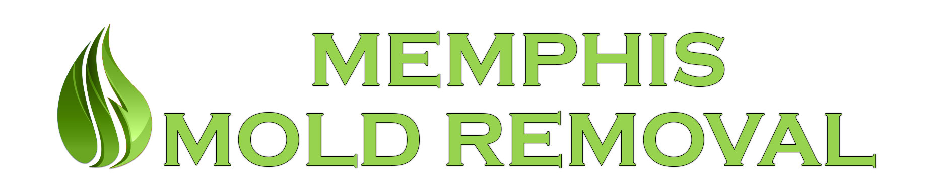 Memphis Mold Removal