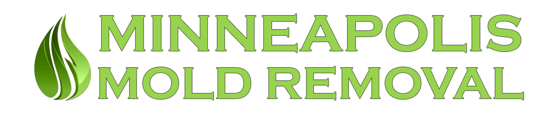 Minneapolis Mold Removal