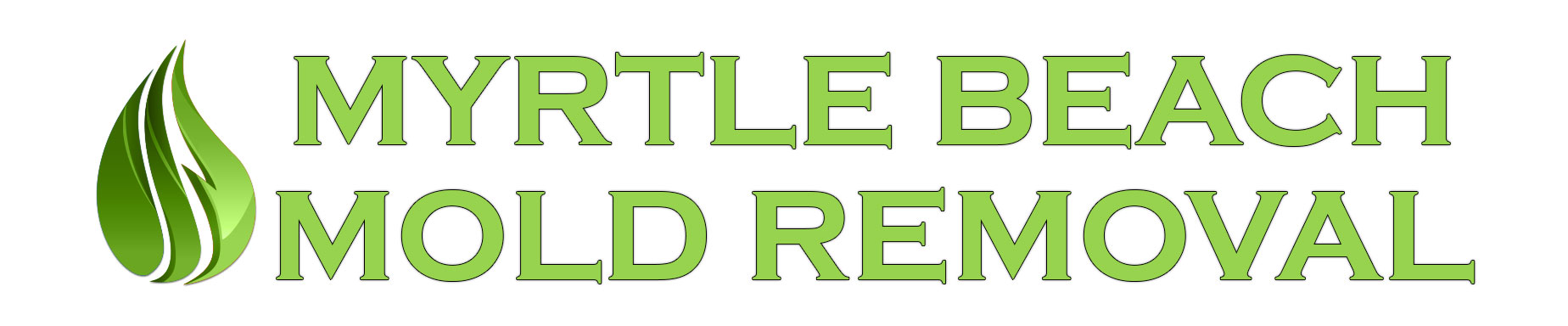 Myrtle Beach Mold Removal