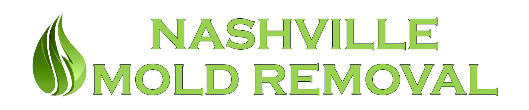 Nashville Mold Removal