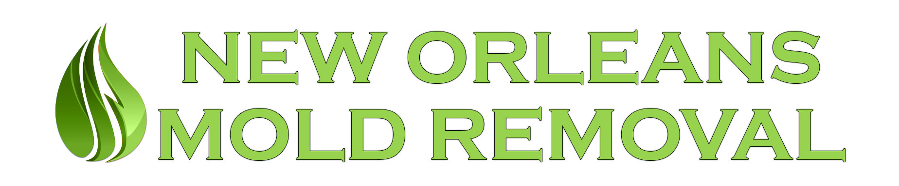 New Orleans Mold Removal
