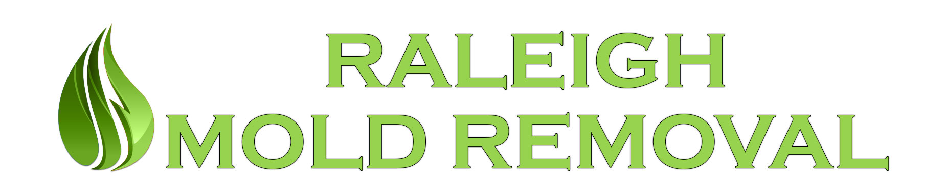Raleigh Mold Removal