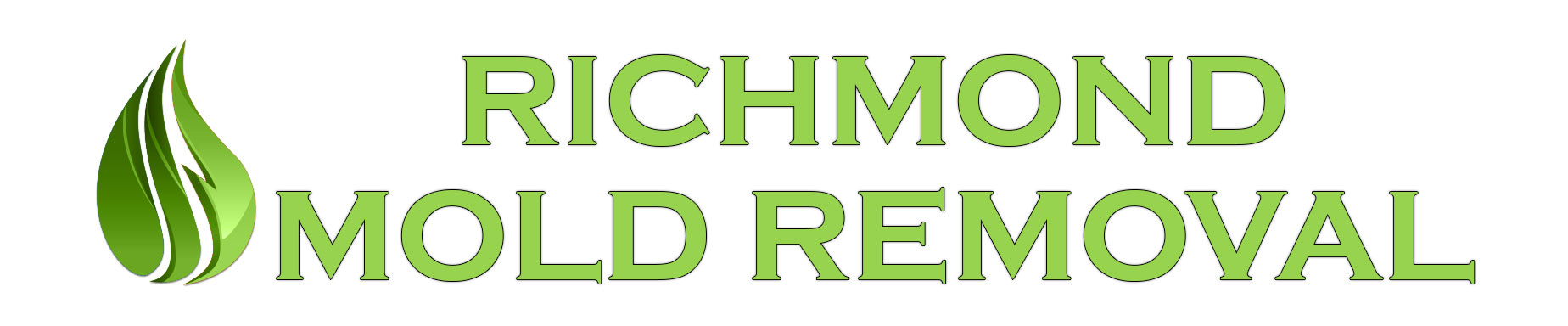 Richmond Mold Removal