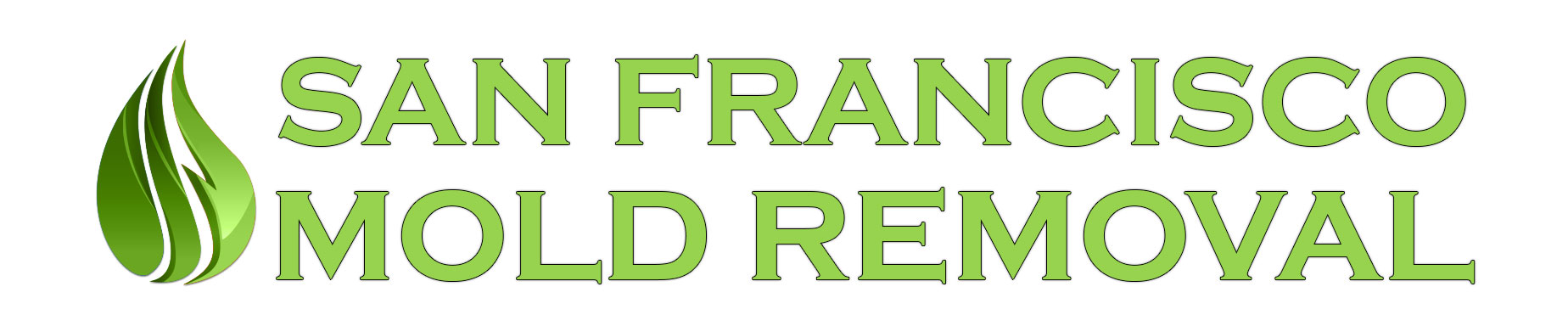 San Francisco Mold Removal