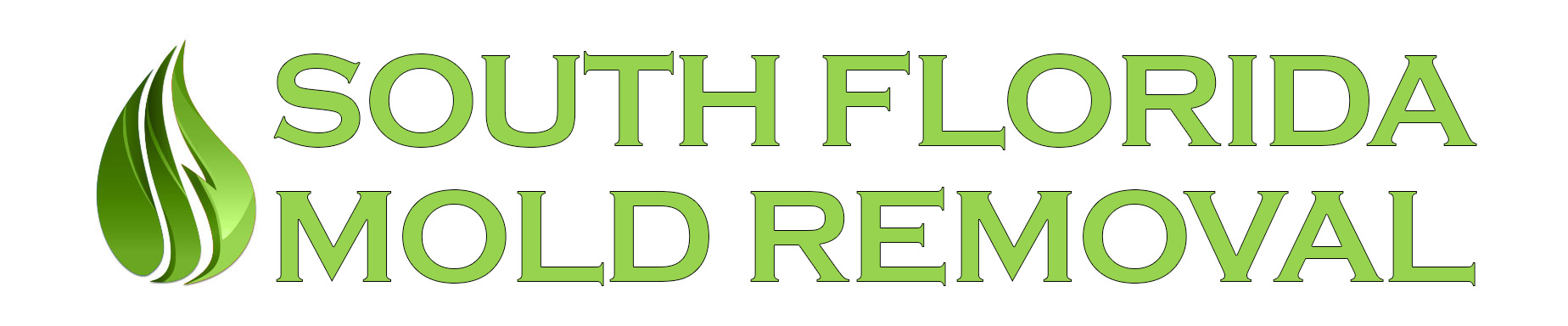 South Florida Mold Removal