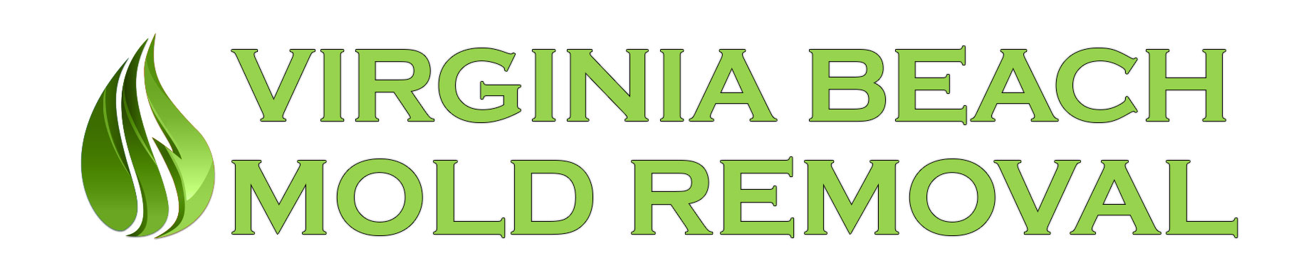 Virginia Beach Mold Removal