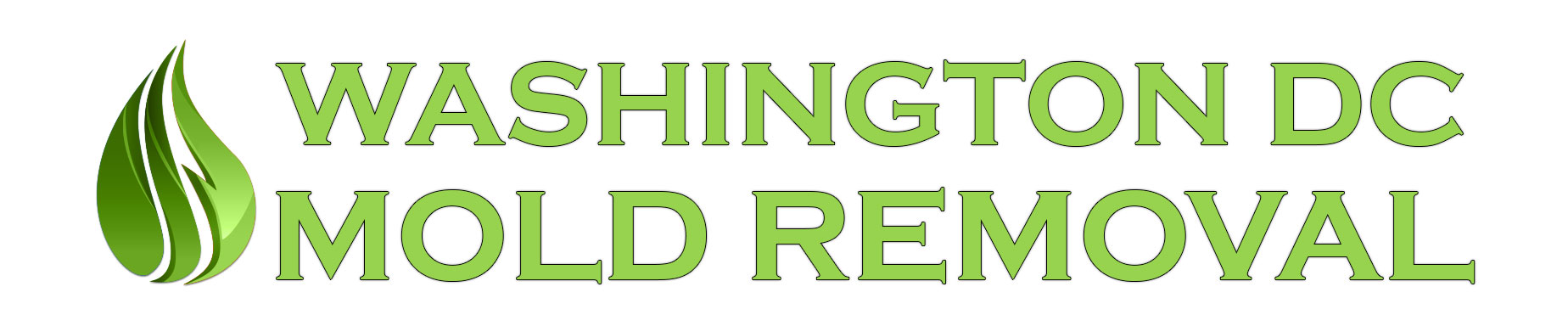Washington DC Mold Removal