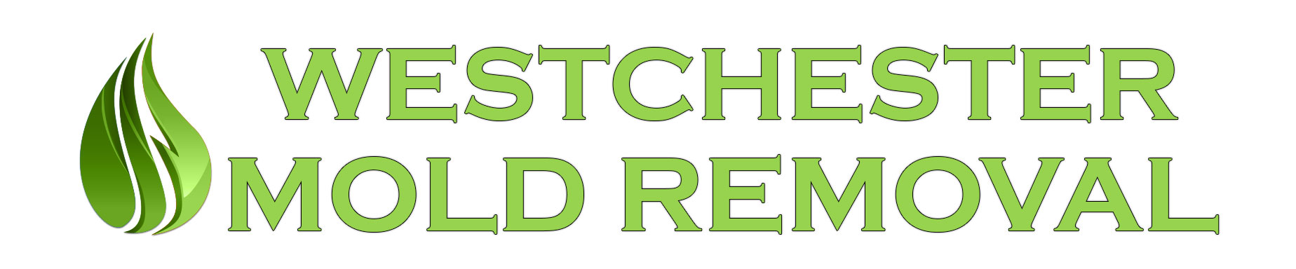 Westchester Mold Removal