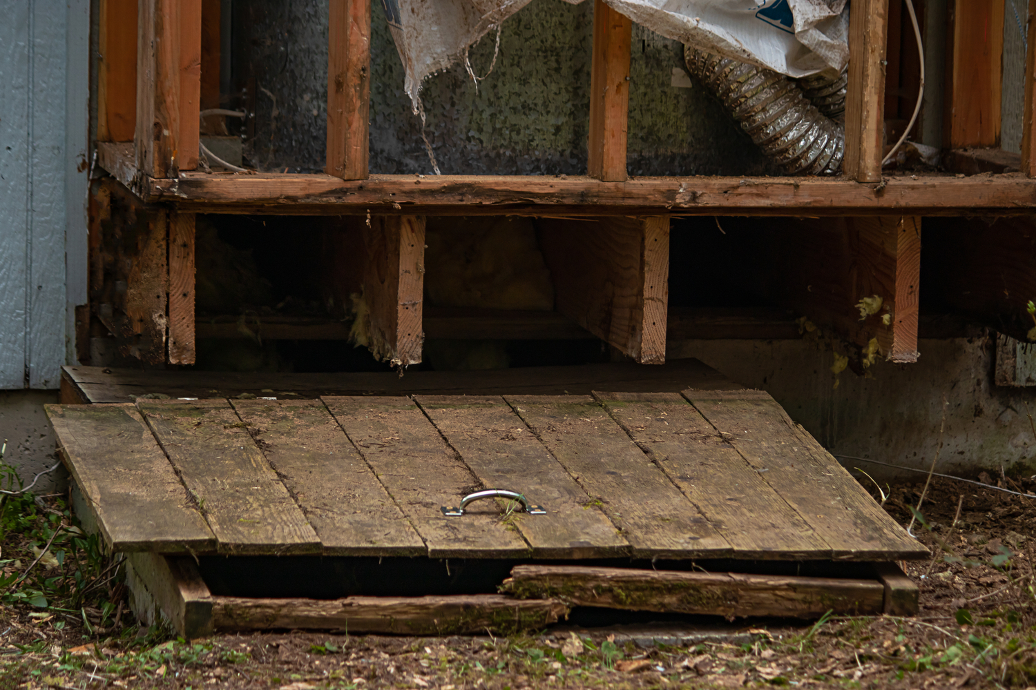 Crawlspace Insulation