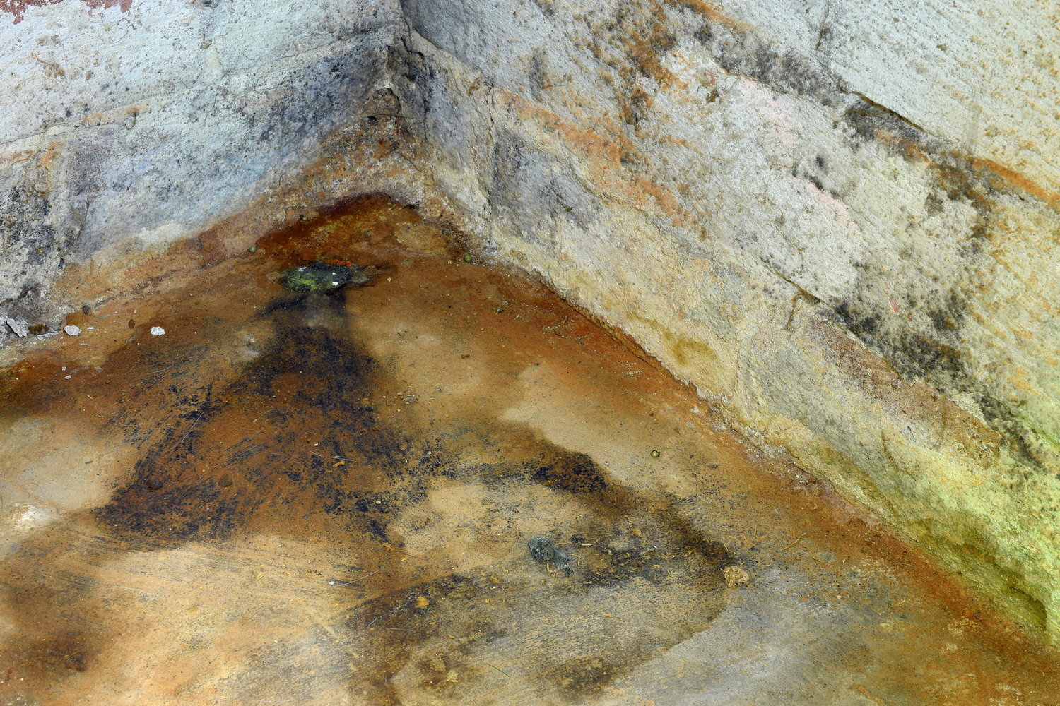 Drying Out A Wet Basement Water Mold Fire Restoration