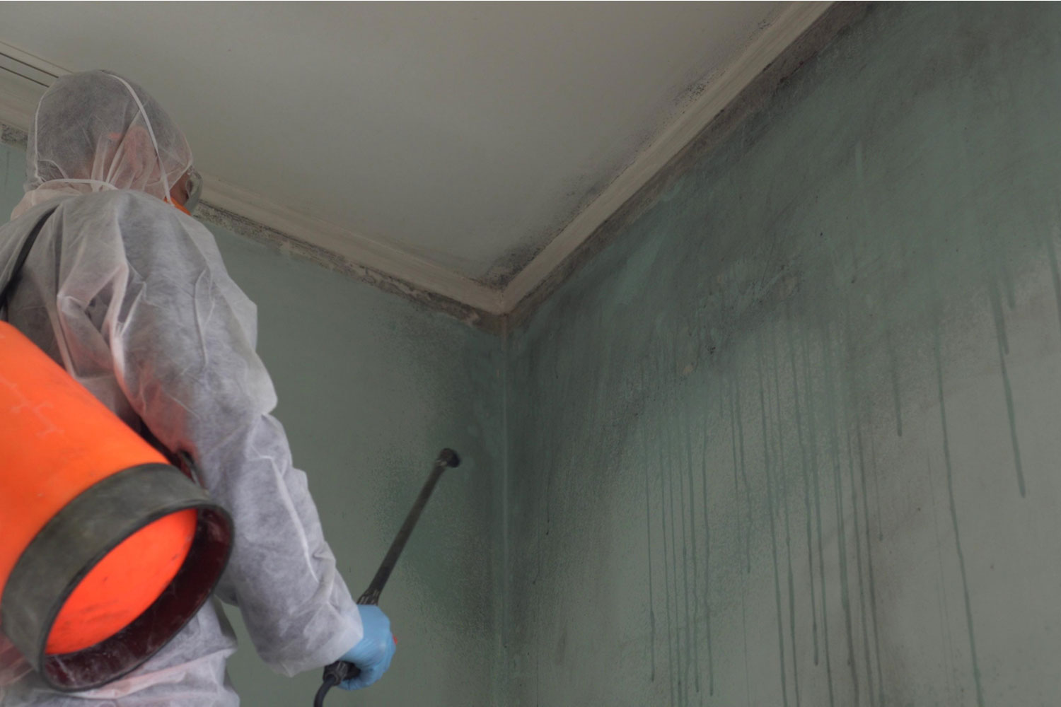 EPA Guidelines for Mold Remediation