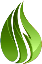 Mold Inspection Los Angeles