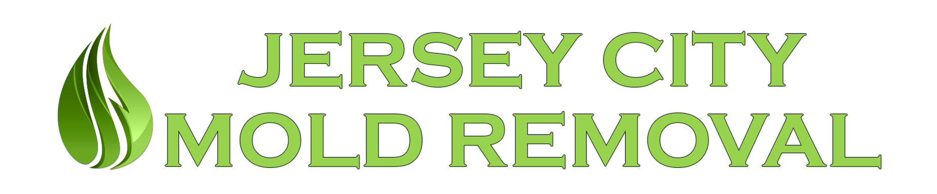 Jersey City Mold Removal