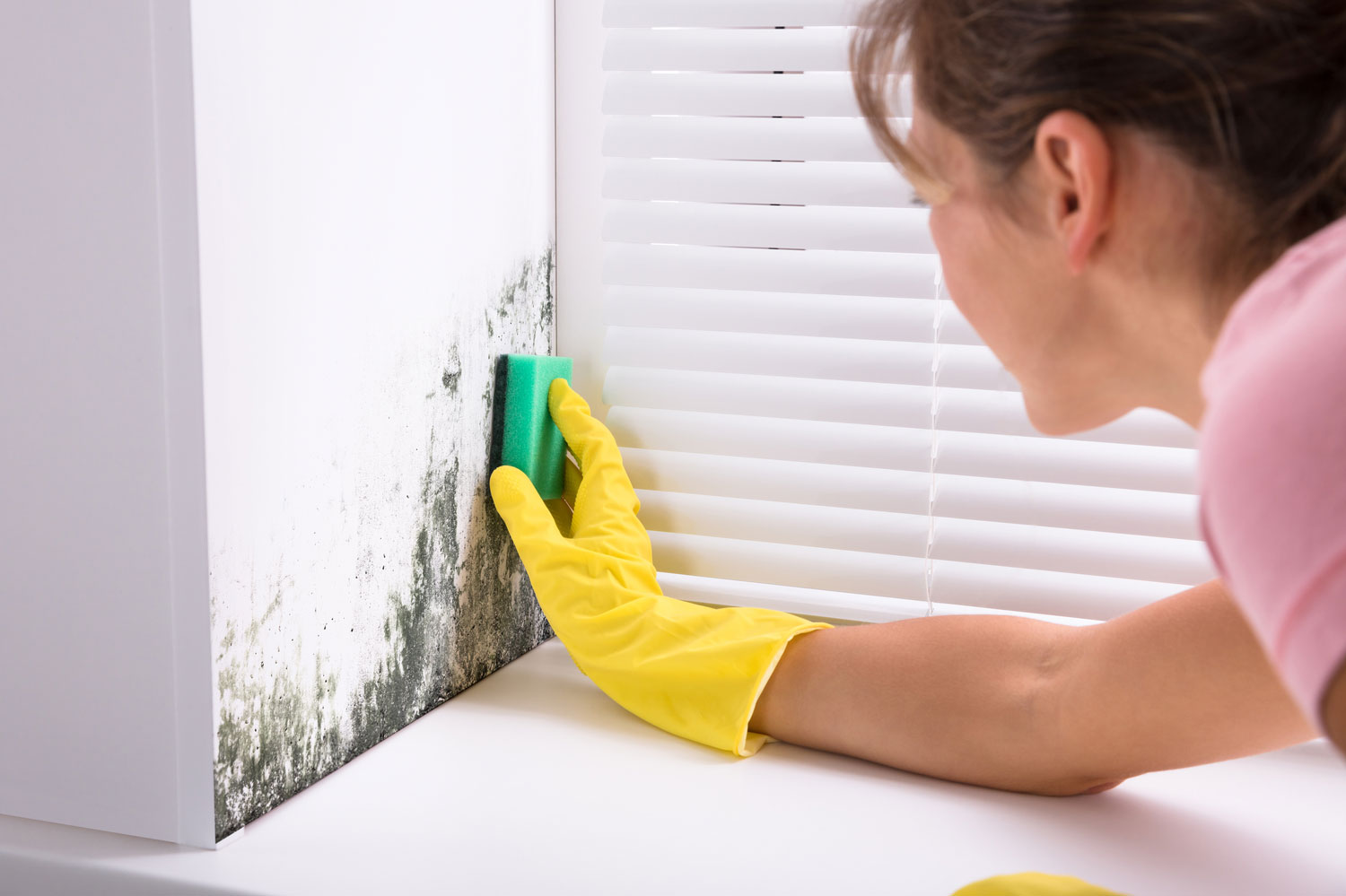 Mold Cleaning and Killing Products: When To and When Not To Use Each