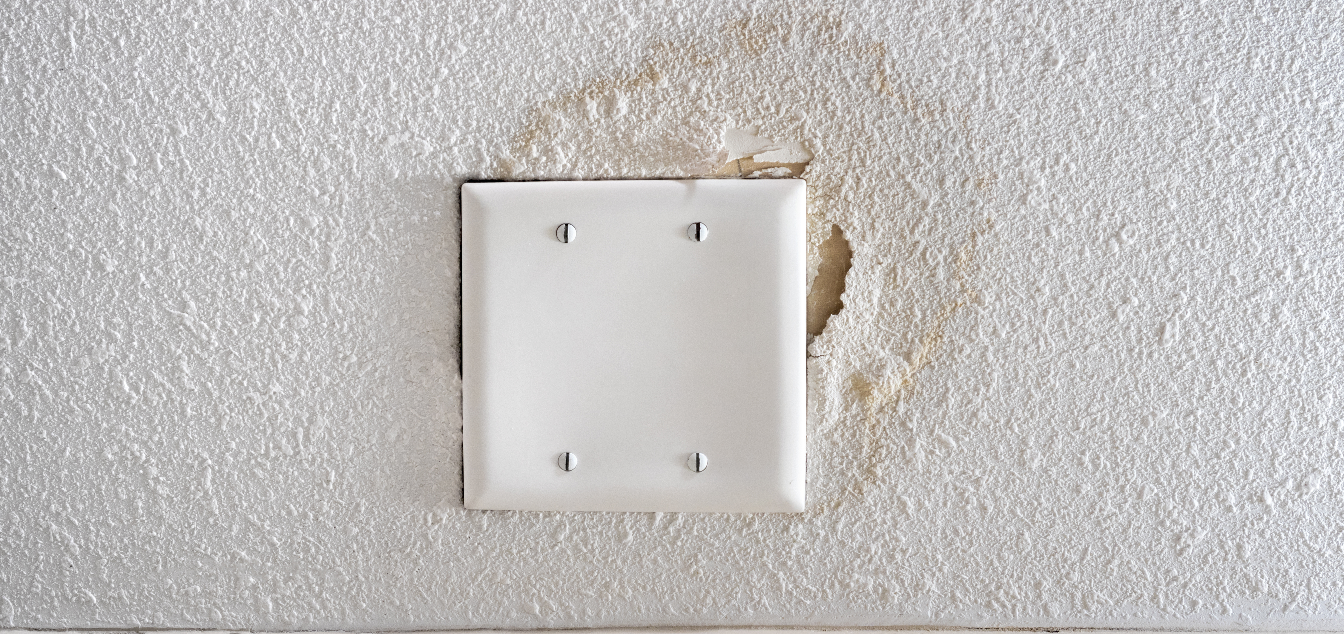 How To Get Black Mold Off Popcorn Ceiling Shelly Lighting