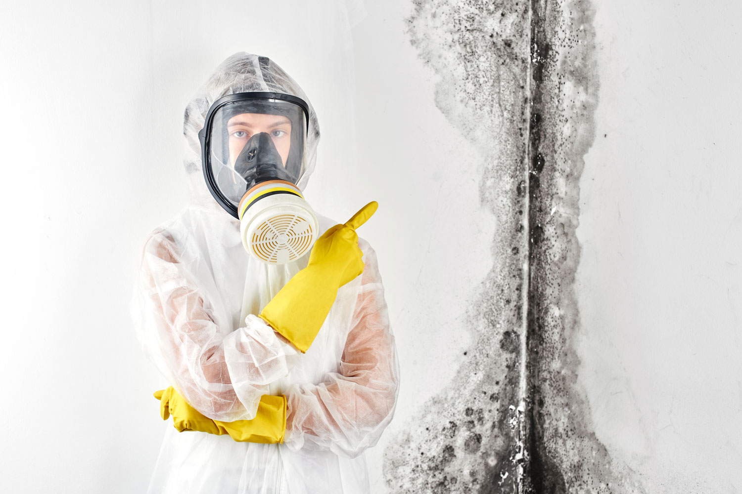 How to Recognize Mold Symptoms