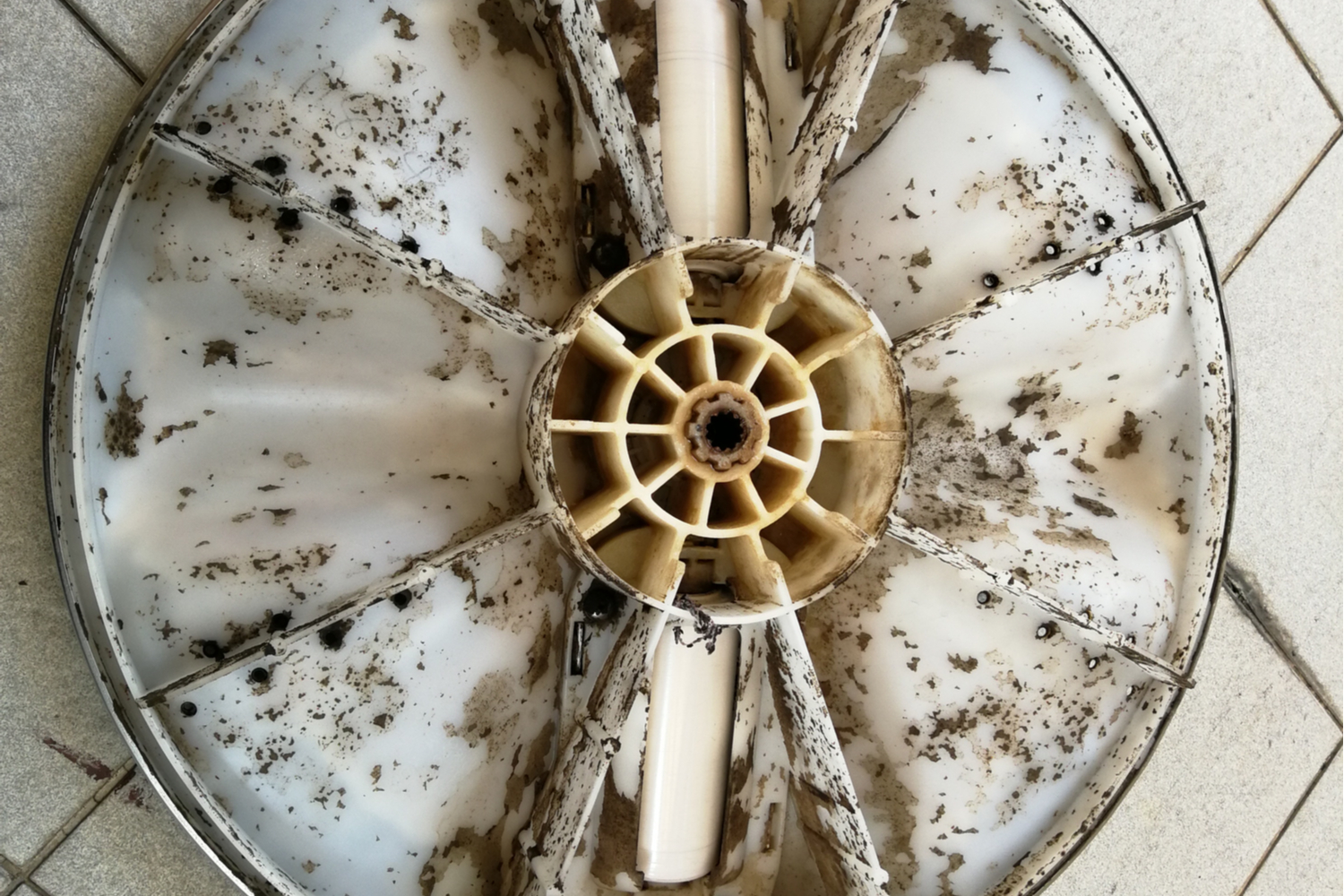 Removing Mold from Washing Machines