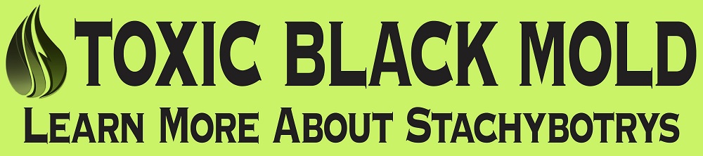 toxic mold
