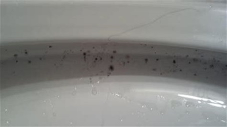 Pink Mold In Your Bathroom How To Get Rid Of It C W Plumbing