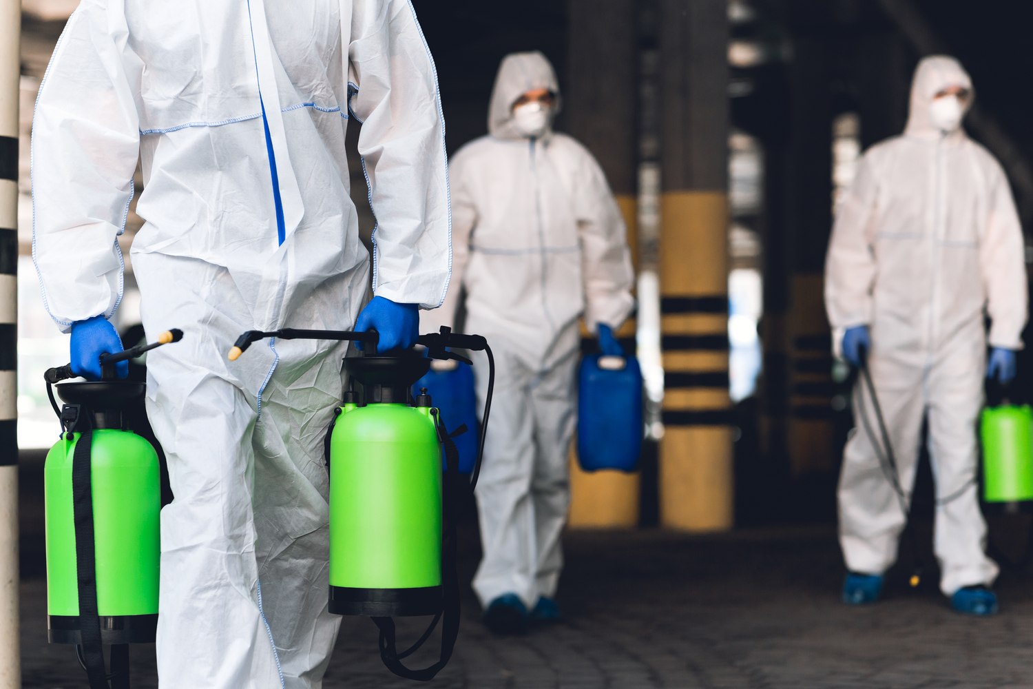 Staying Home During a Mold Remediation