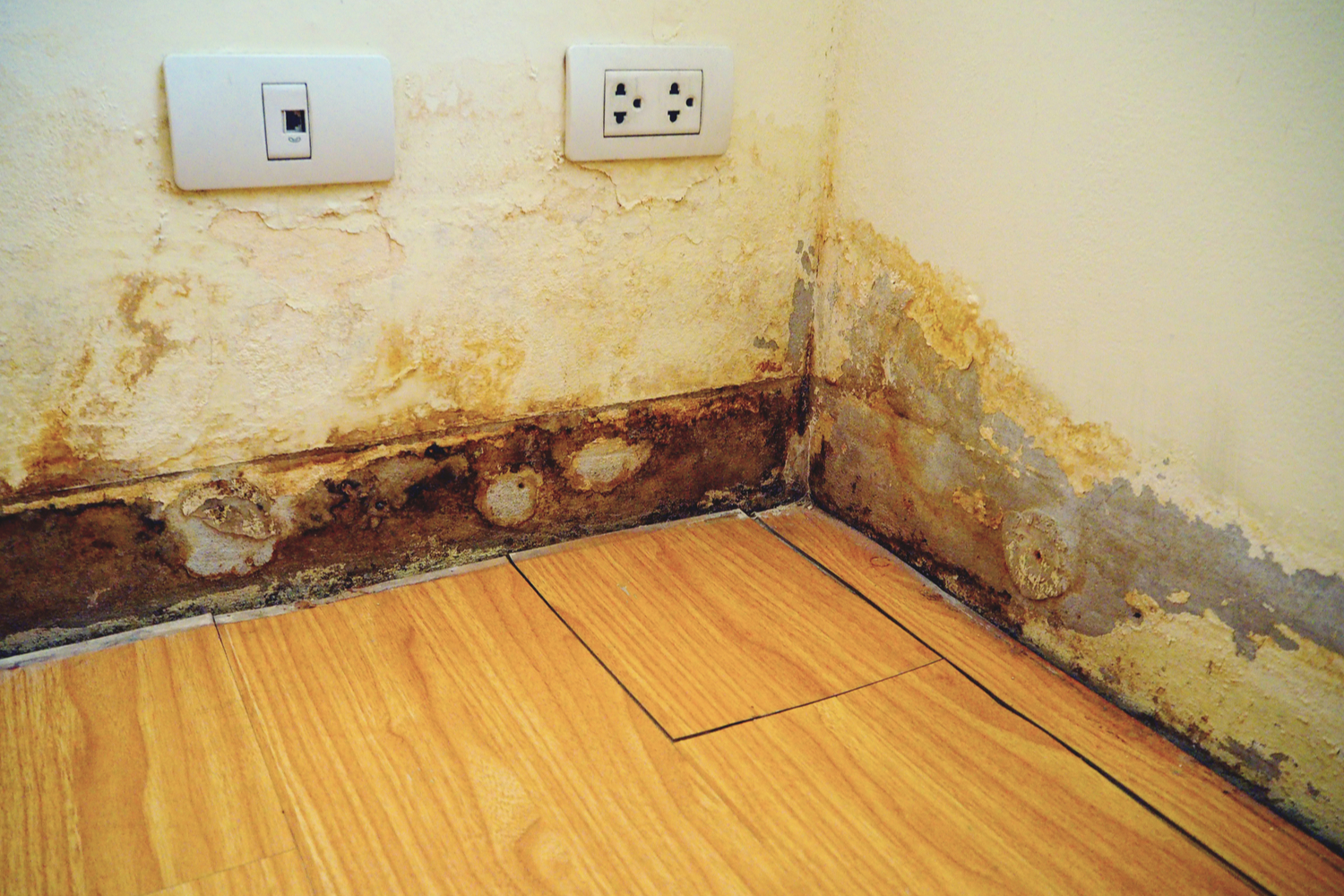 Uncommon Issues That  Can Lead to Water Damage to Your Home