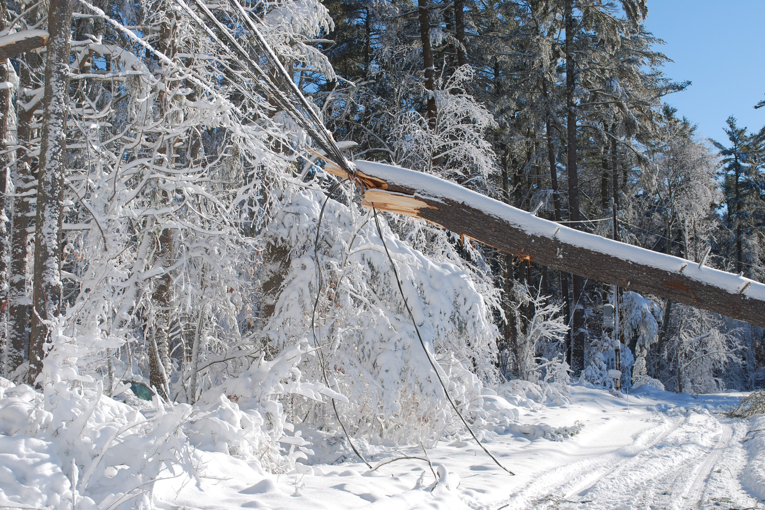 Ice Storms and the Damage They Can Cause