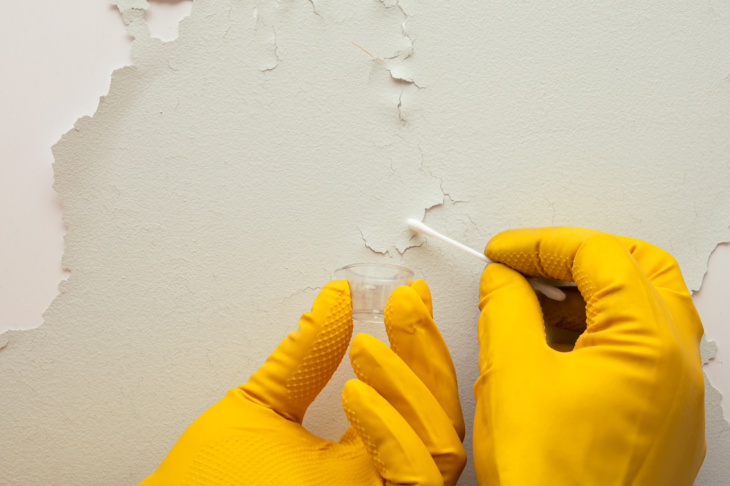 Where to Check for Mold Before You Buy Your Next Home